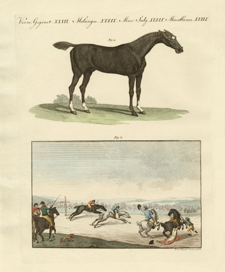 Horse races in England à École allemande, (19ème siècle)