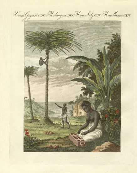 Scenes from Africa à École allemande, (19ème siècle)