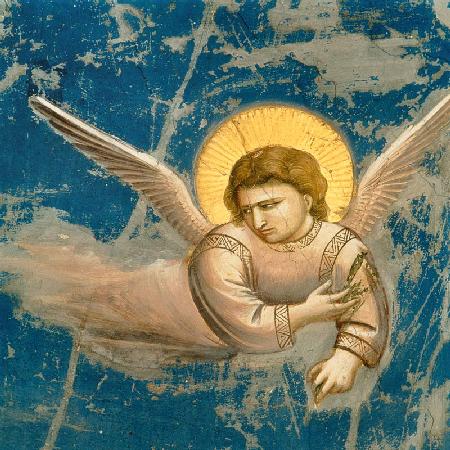 La fuite en Egypte, détail de l'ange - Giotto