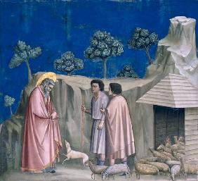 Giotto, Joachim chez les bergers