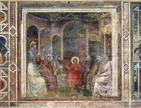 Giotto, Jesus parmi les docteurs