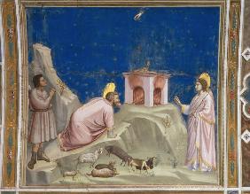 Giotto, Le Sacrifice de Joachim