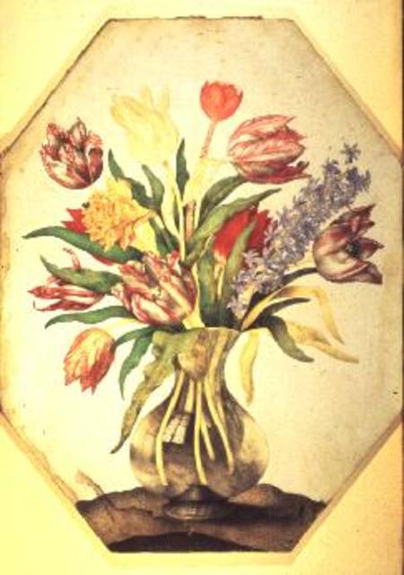 Glass Vase of Tulips with a Hyacinth à Giovanna Garzoni