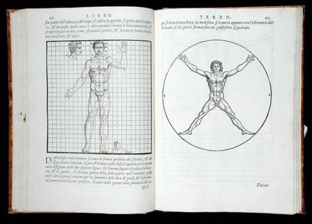 Ideal proportions based on the human body, from 'Della Architettura' à Giovanni Antonio Rusconi