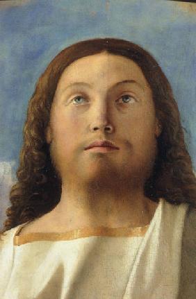 Giov.Bellini / Tete du Christ
