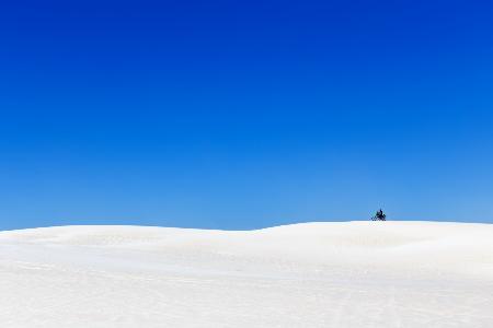 The Lancelin dunes