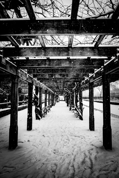 Central Park Winter à Guilherme Pontes