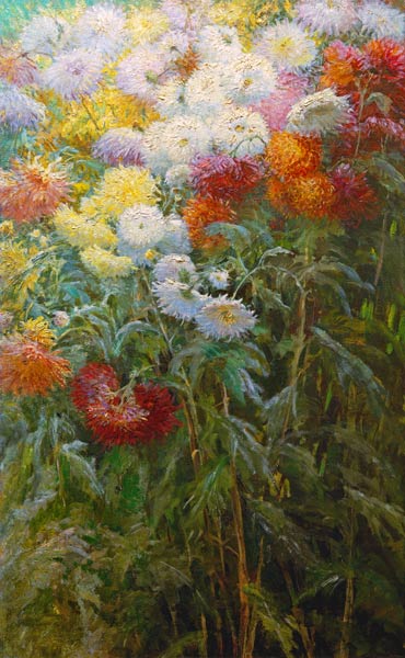 Chrysanthemums à Gustave Caillebotte