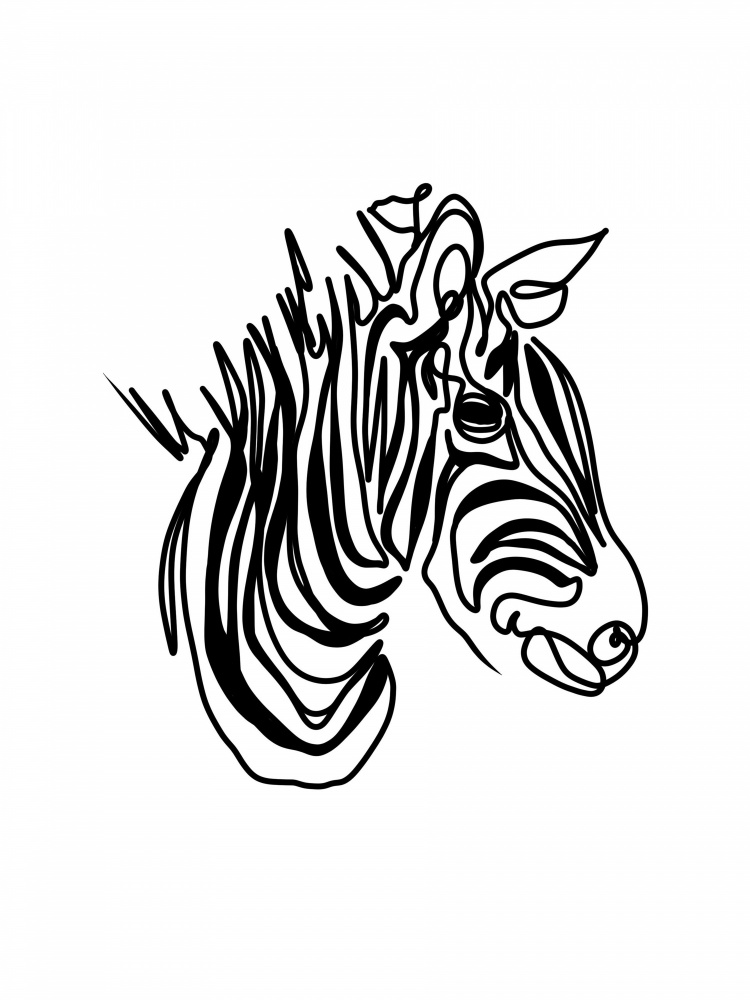 The Zebra à Hanna Lee Tidd