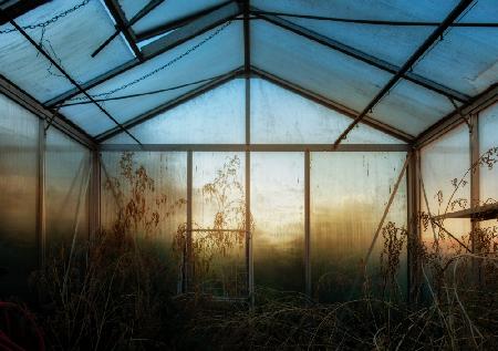 The greenhouse