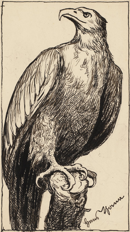 Zeichnung zur Fibel: Adler à Hans Thoma