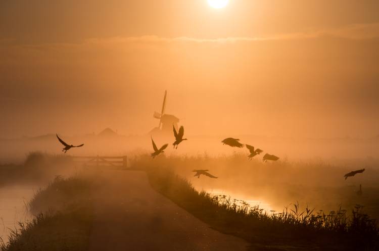 Sunrise Flight à Harm Klaverdijk