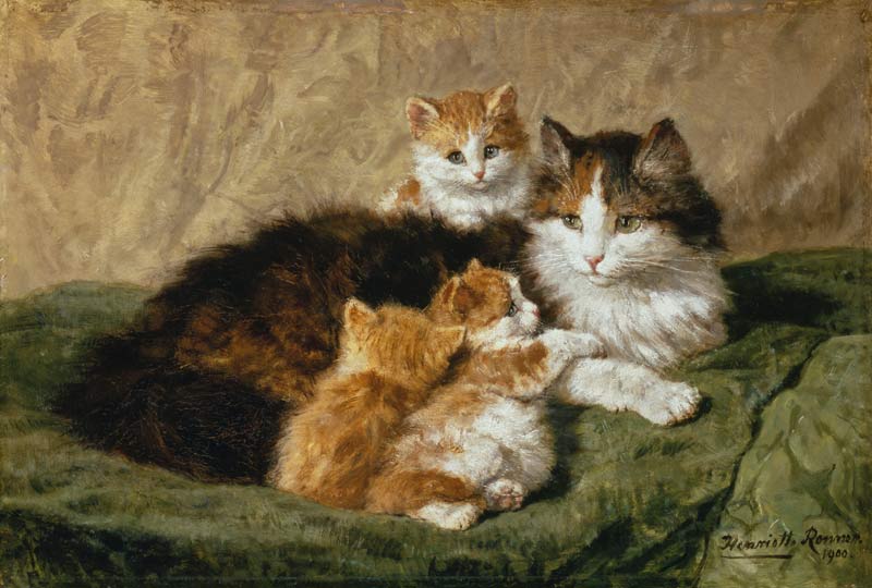 chats à Henrietta Ronner-Knip