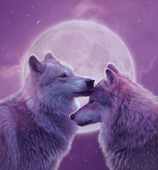 Loving Wolves à Vincent Hie