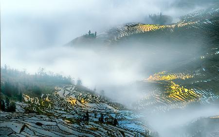 Yuan Yang rice terraces