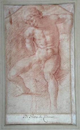 Study of a seated male nude