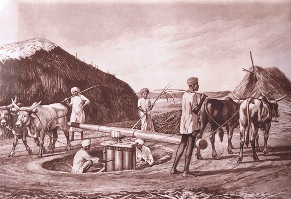 Native method of crushing sugar cane in India, from MacMillan school posters, c.1950-60s à J. Macfarlane