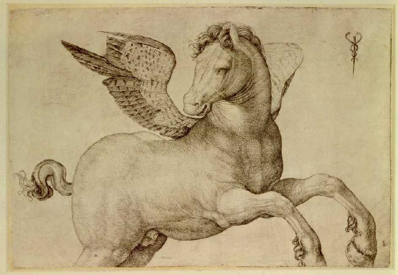 Pegasus. - Jacopo de Barbari