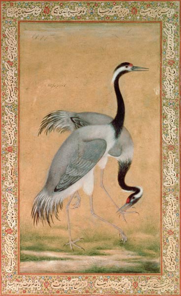 Cranes à Jahangir Period Mansur