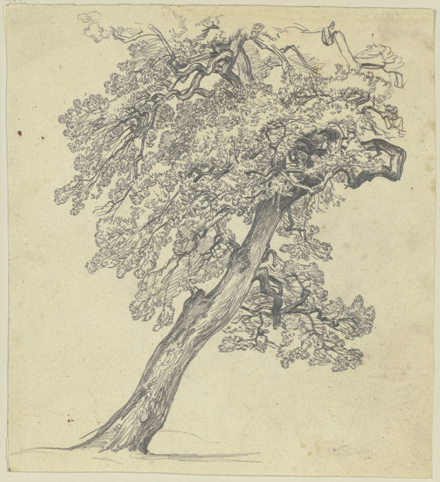 Tree à Jakob Becker