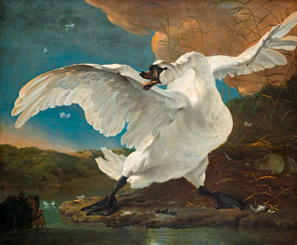 The Threatened Swan à Jan Asselijn