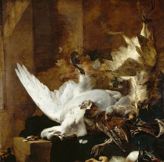 Still life with a dead swan à Jan Baptist Weenix