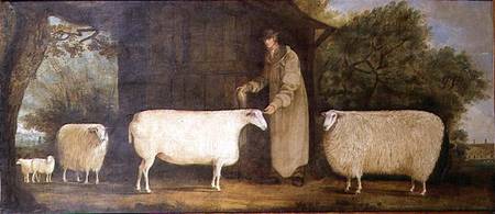 A Shepherd with his Flock à J.D. Curtis
