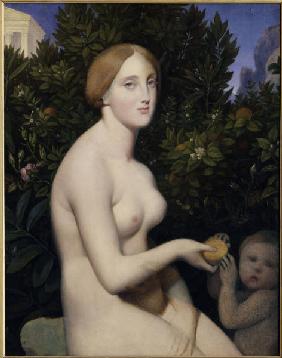 J.A.D.Ingres / Venus a Paphos