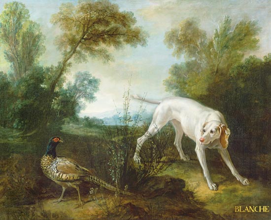 Blanche, Bitch of the Royal Hunting Pack à Jean Baptiste Oudry