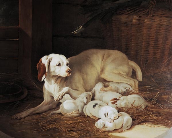 Bitch nursing puppies, detail from Lise et ses petits à Jean Baptiste Oudry