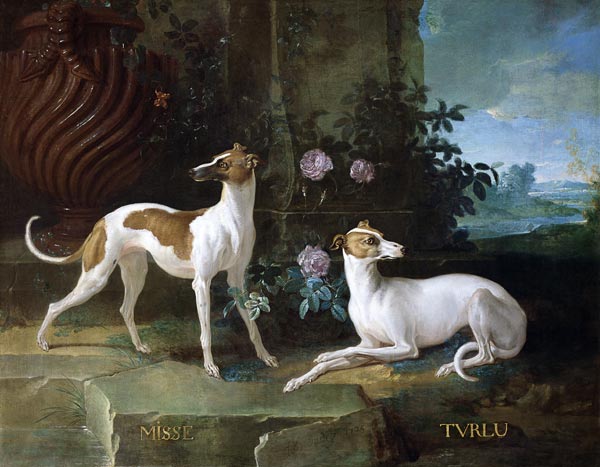 Misse and Turlu, two greyhounds of Louis XV à Jean Baptiste Oudry