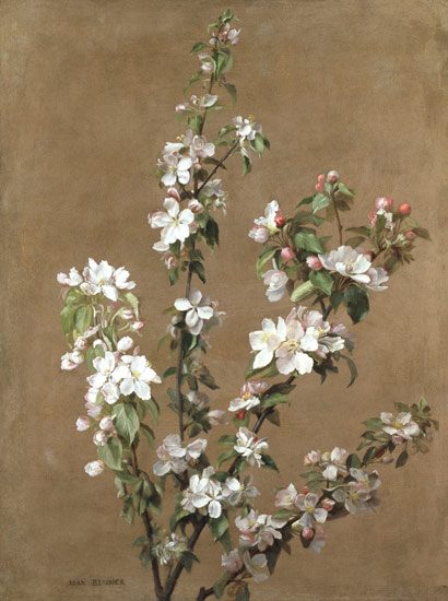 Apple Blossom à Jean Benner