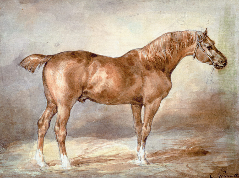 A docked chestnut horse à Jean Louis Théodore Géricault