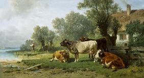 berger avec des vaches au bord du lac