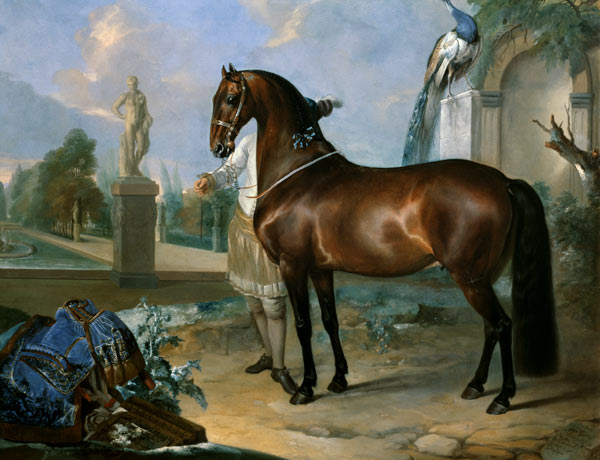 The bay horse' Sincero' à Johann Georg Hamilton