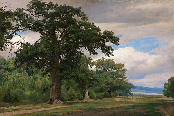 Großer Baum auf Waldschneise (Studie) à Johann Wilhelm Schirmer