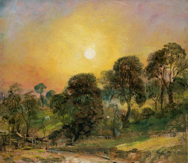 Trees on Hampstead Heath at Sunset (oil on paper) à John Constable