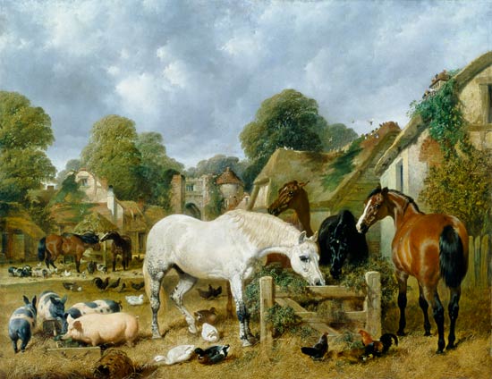 Horses in a Paddock à John Frederick Herring l'Ancien