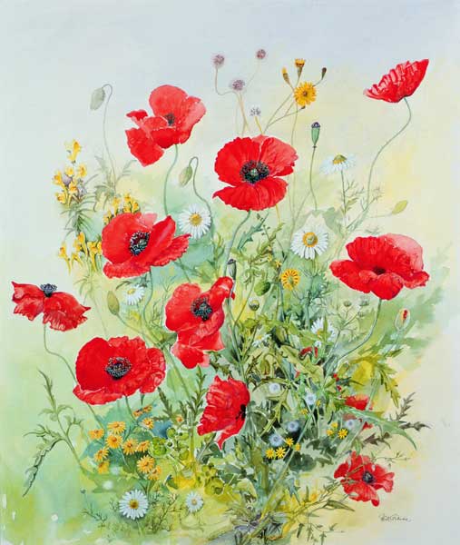 Poppies and Mayweed  à John  Gubbins