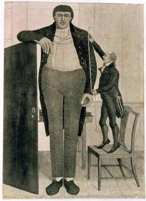 Mr O'Brien, the Irish Giant, the Tallest Man in the Known World Being near Nine Feet High, 1803 (etc à John Kay