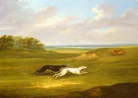 Running, a Coursing Scene