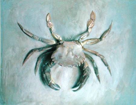Velvet Crab à John Ruskin
