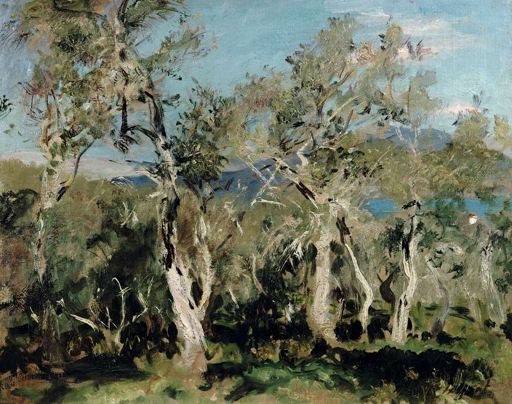 Olives, Corfu à John Singer Sargent