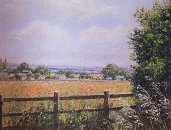 Poppy Field, Cookham à Margo Starkey