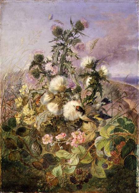 A Goldfinch and a Butterfly amongst Thistles and Blackberry Blossom à John Wainwright