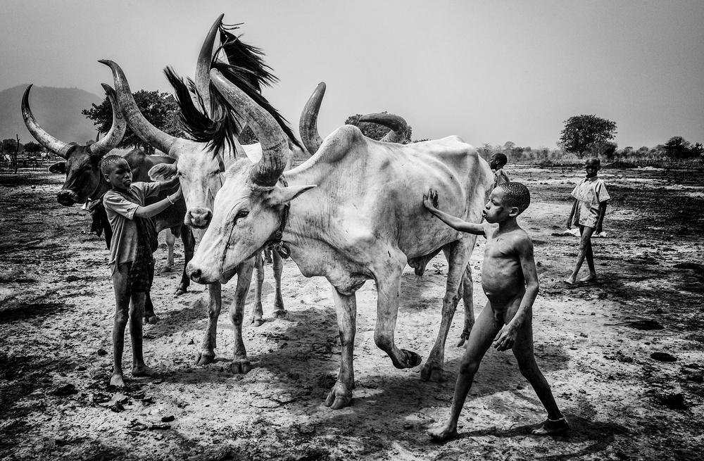 Mundari tribe children taking care of the cattle - South Sudan à Joxe Inazio Kuesta Garmendia