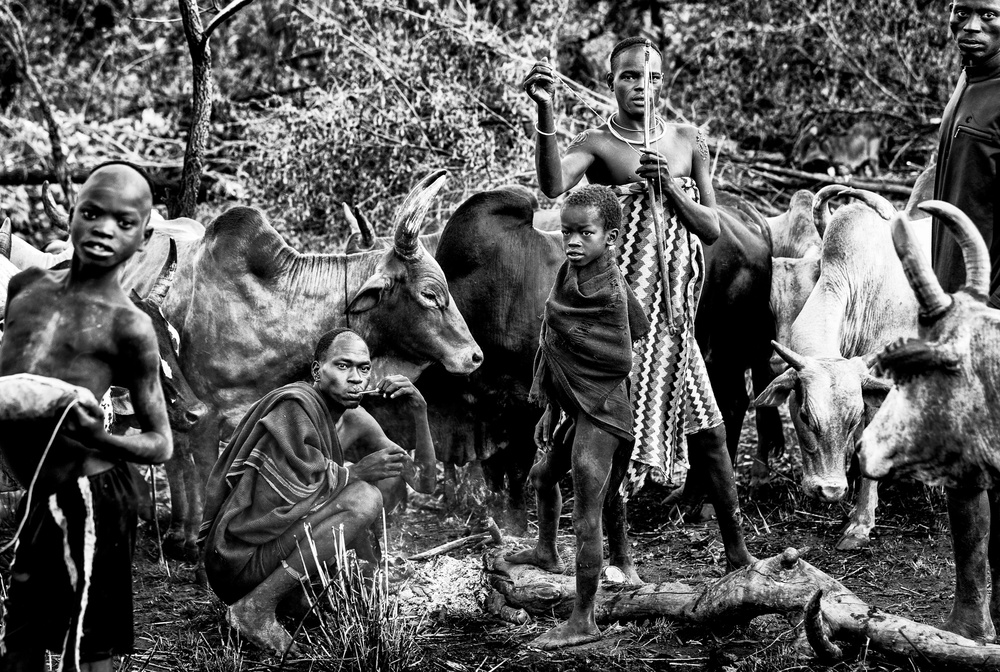 Surma tribe people taking care of the cattle. à Joxe Inazio Kuesta Garmendia