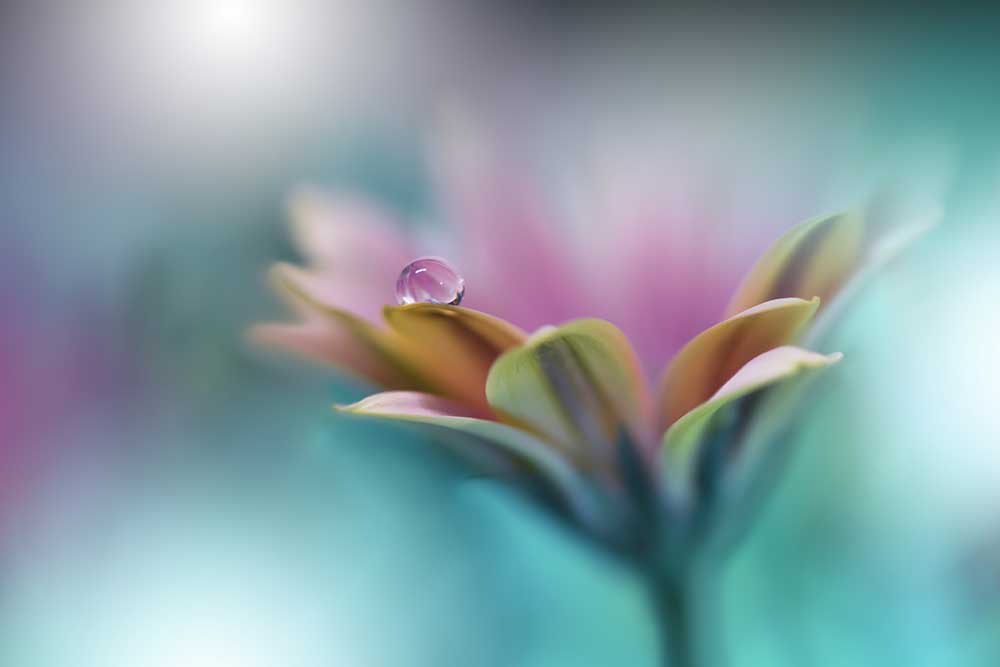 Memories of Sea.. à Juliana Nan