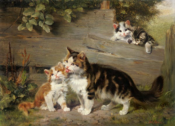 Mère de chat avec trois garçons à Julius Adam