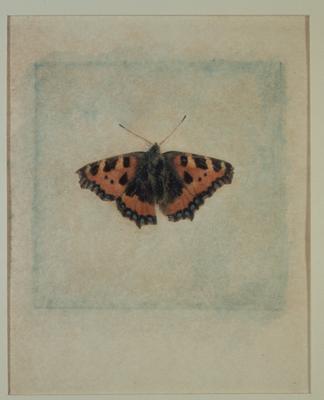 Butterfly - Julyan Rawlings en reproduction imprimée ou copie peinte à  l'huile sur toile